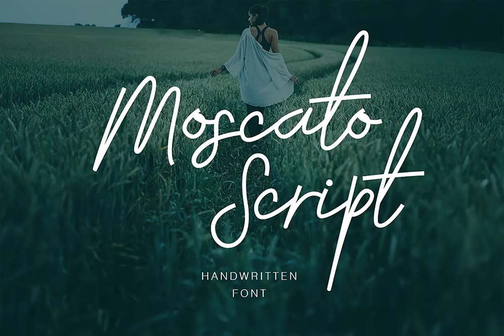 15+ Best Script fonts